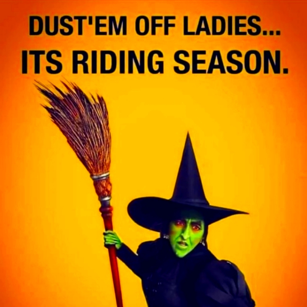 Fly Witches! 😆🎃✌️